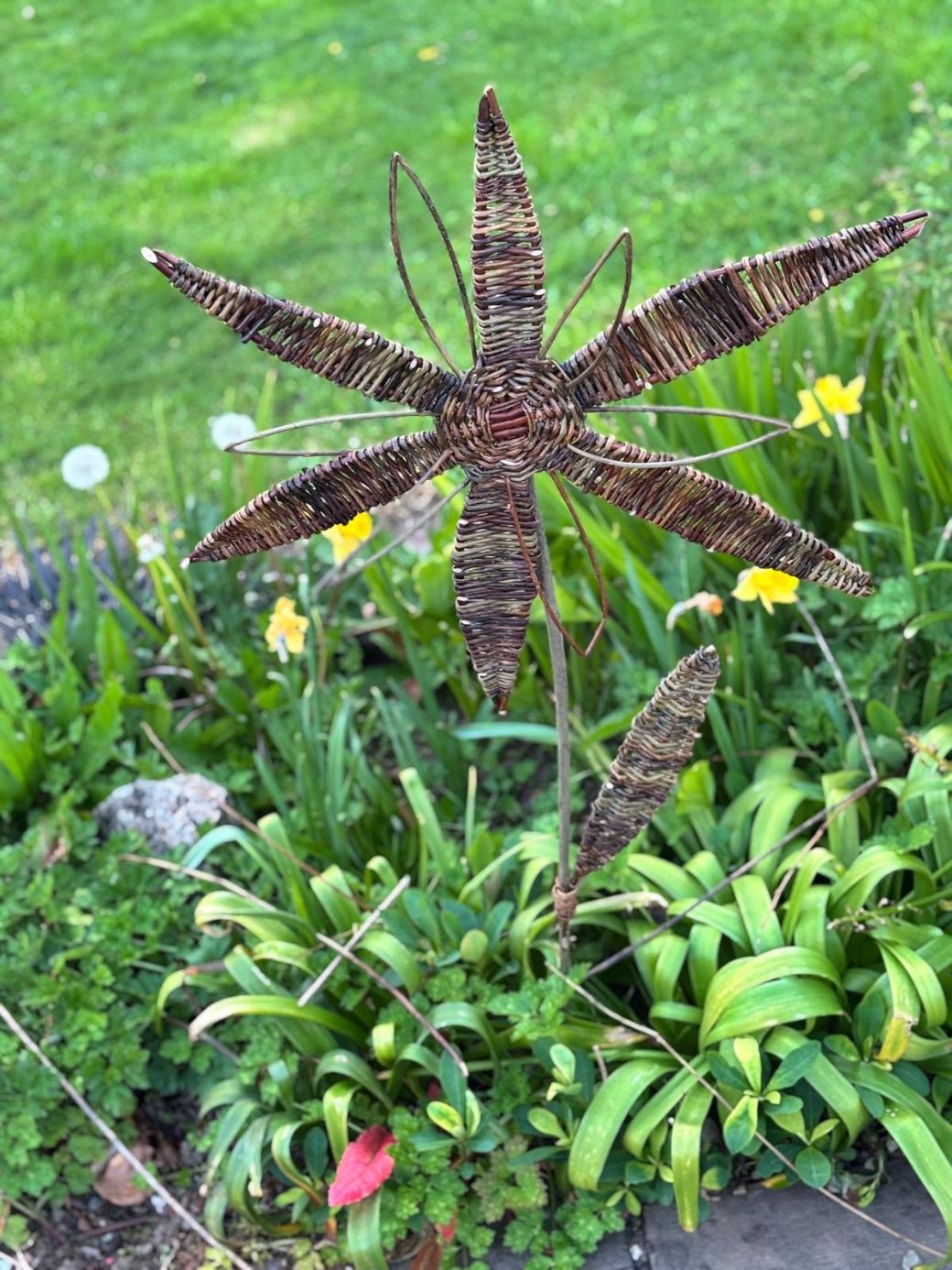 Featured Image